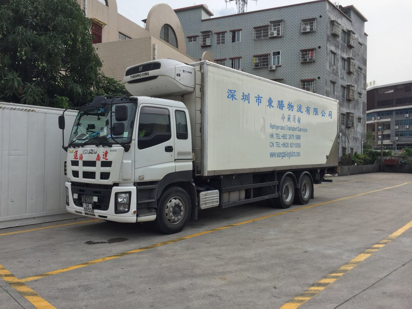 中港冷藏車(chē),香港冷凍柜,香港冷鏈物流專(zhuān)線運(yùn)輸案例圖